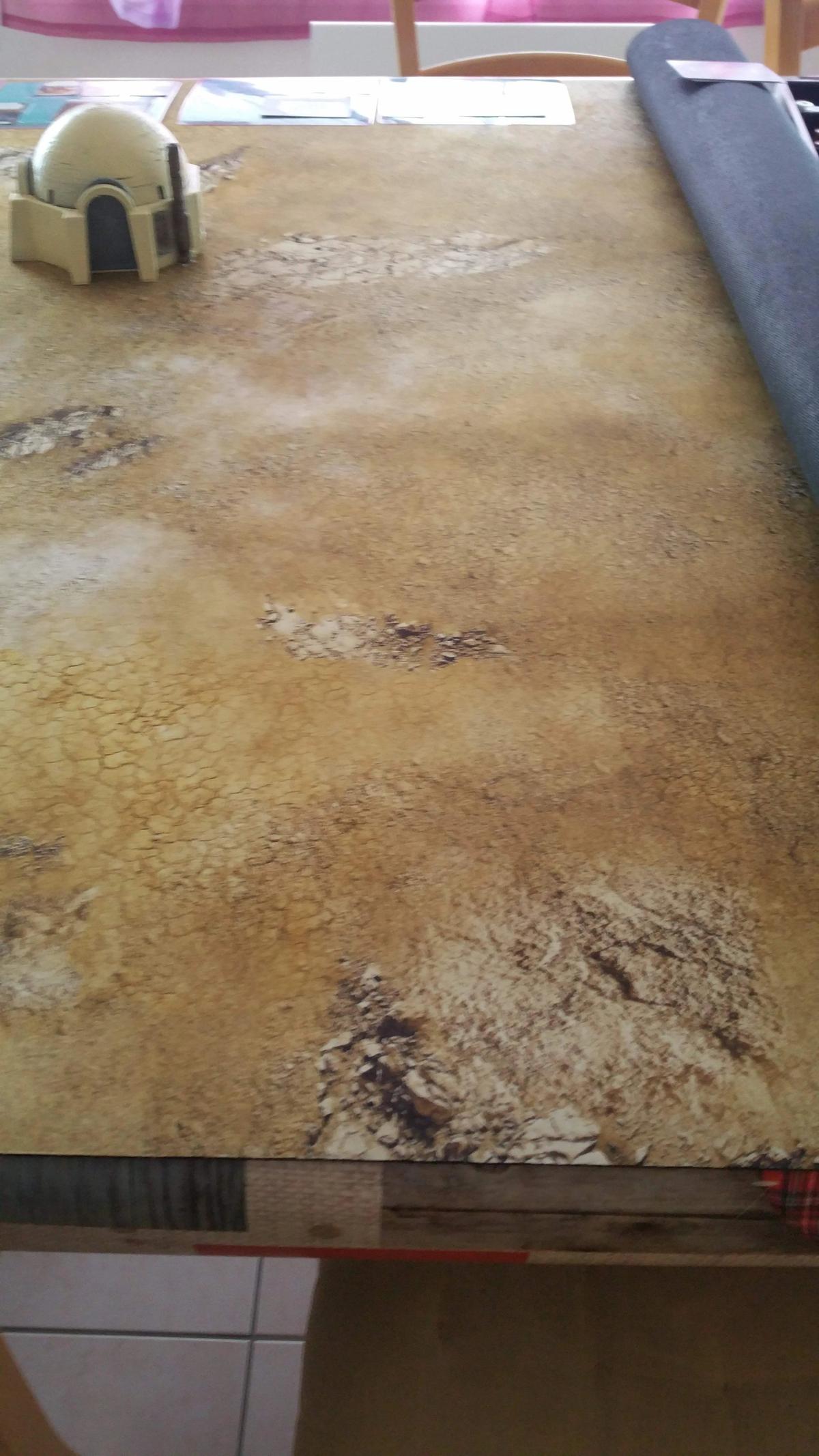 Forest / Desert - Playmat Recto-Verso -44x30 pour AOS ou Warhammer Battle